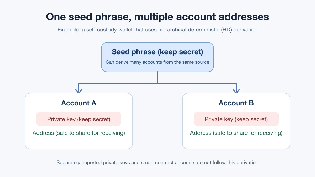 Why Does One Seed Phrase Have Multiple Addresses? Keys, Accounts and Recovery