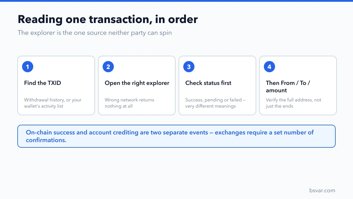 Four steps to read a transaction: find the TXID, open the right explorer, check status, then verify addresses and amount